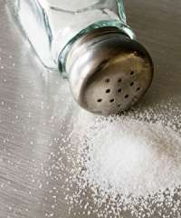 Haydi Tanışalım, Ben Elif, Etkileyici Genç Escort Bayan